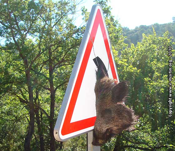 Humour chasseur e martin